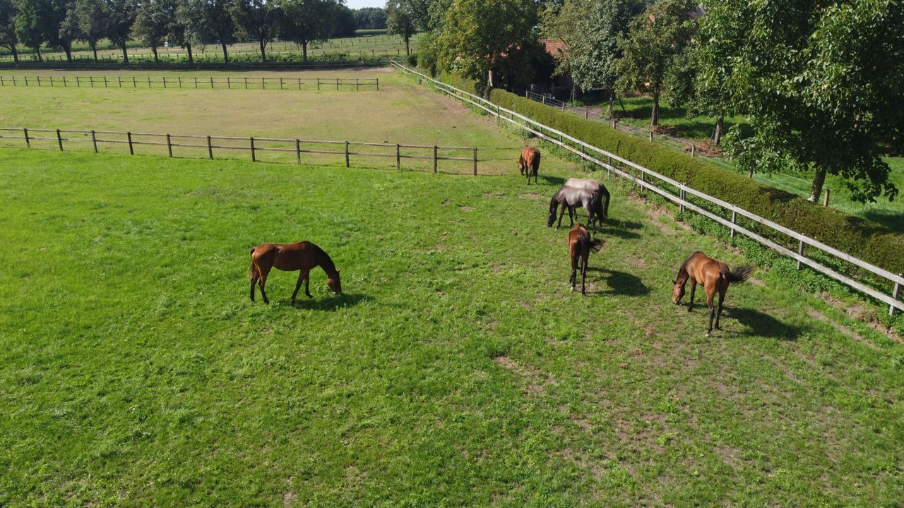 Eikesstraat 43 image thumbs 1