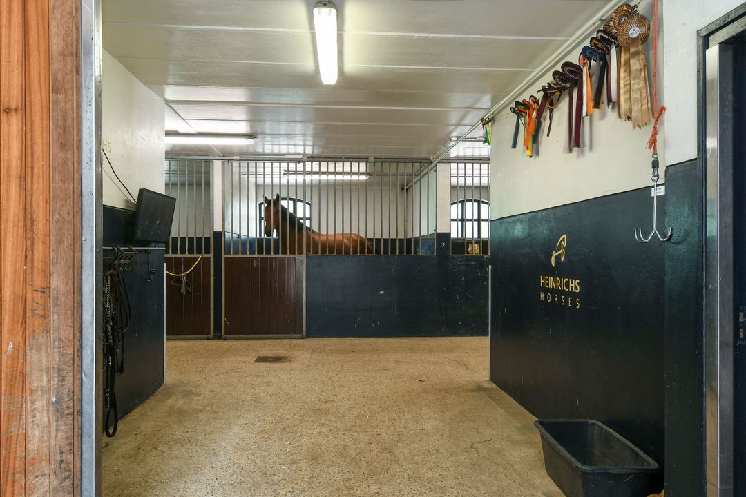 Eikesstraat 43 image thumbs 1