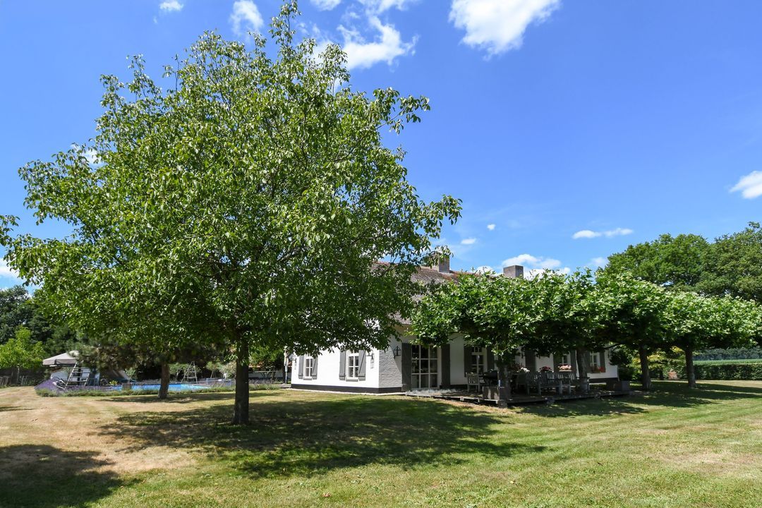 Engerstraat 4 image thumbs 1