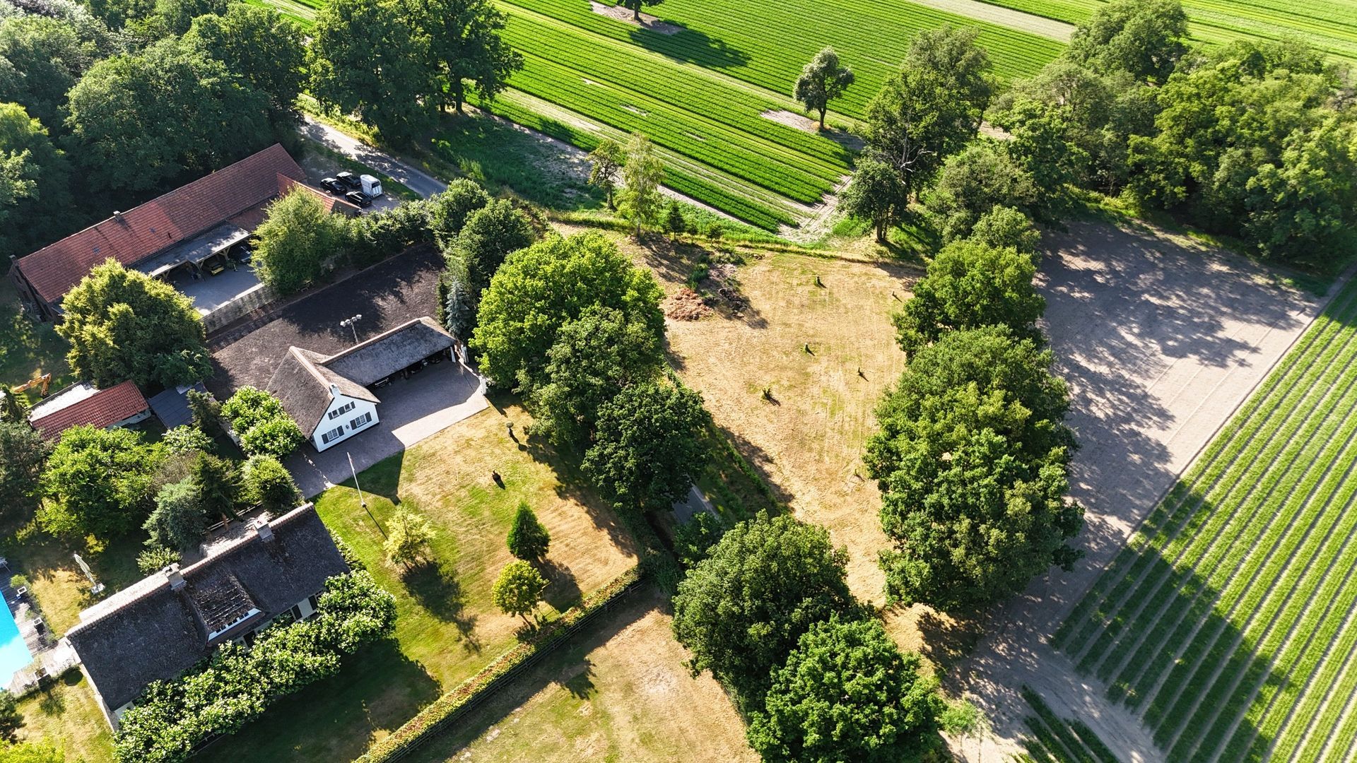 Engerstraat 4 image 1