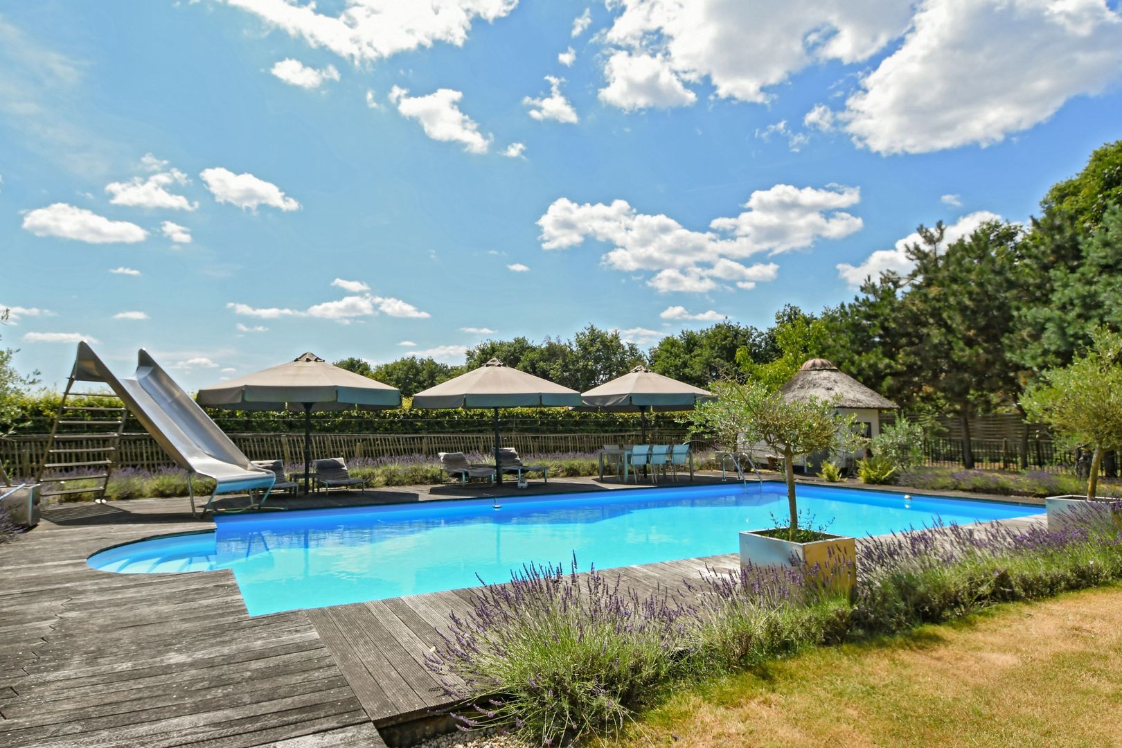 Engerstraat 4 image 1