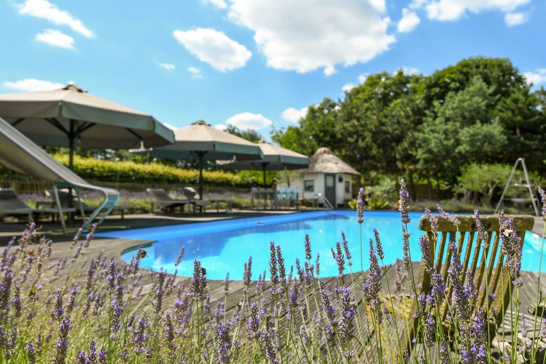 Engerstraat 4 image thumbs 1