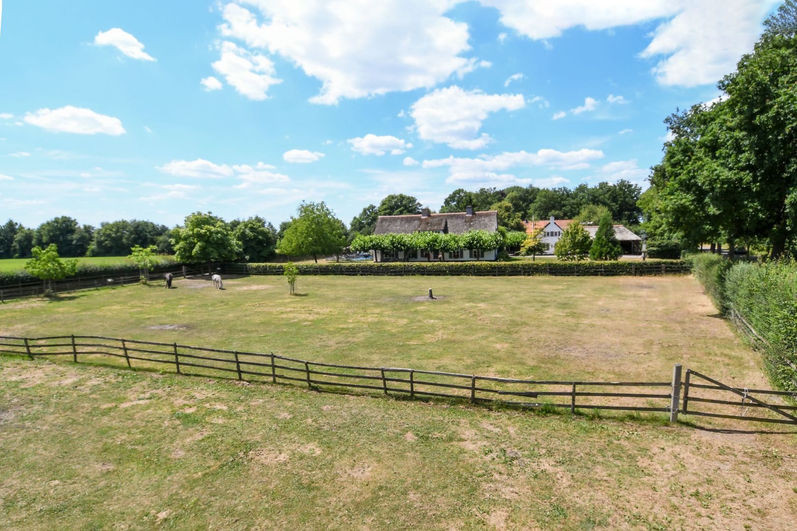 Engerstraat 4 image 1