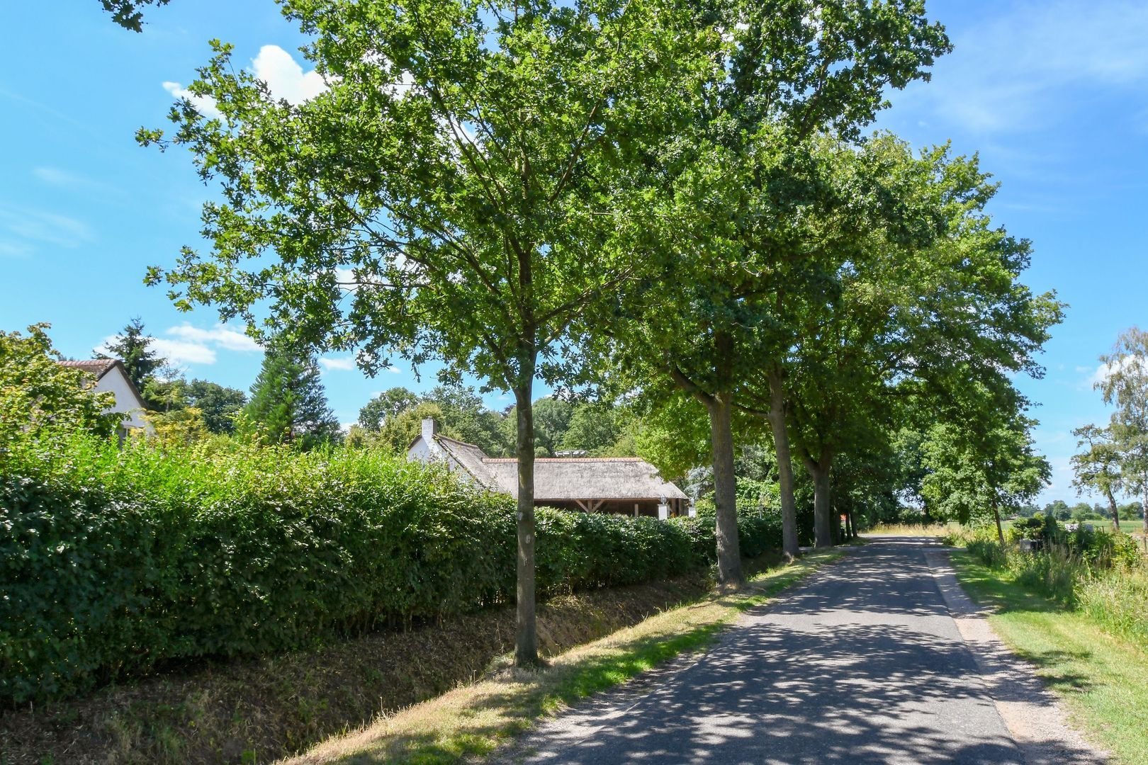 Engerstraat 4 image 1