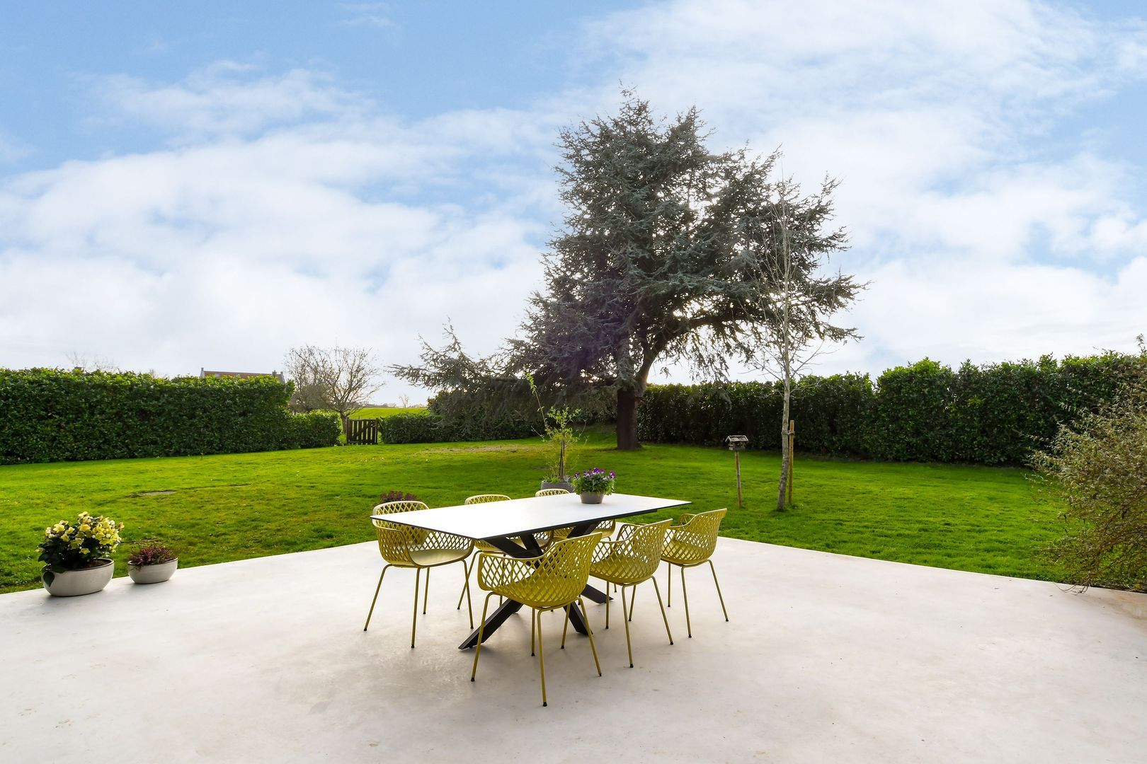 Visserweert 17 image 1