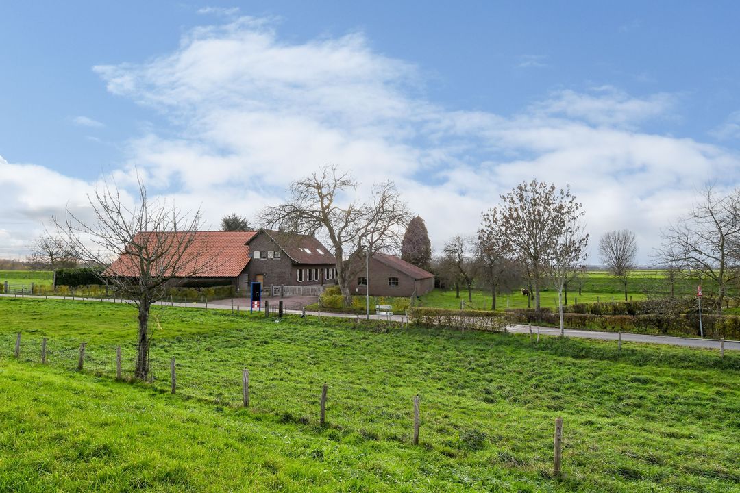 Visserweert 17 image thumbs 1