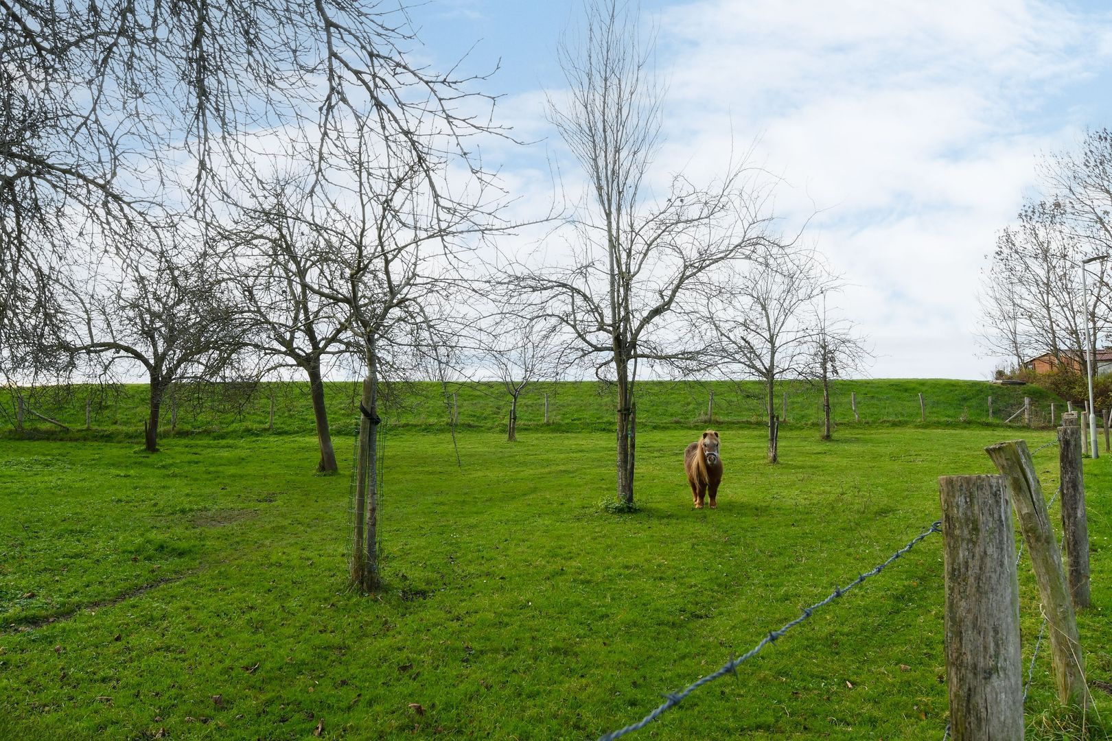 Visserweert 17 image 1