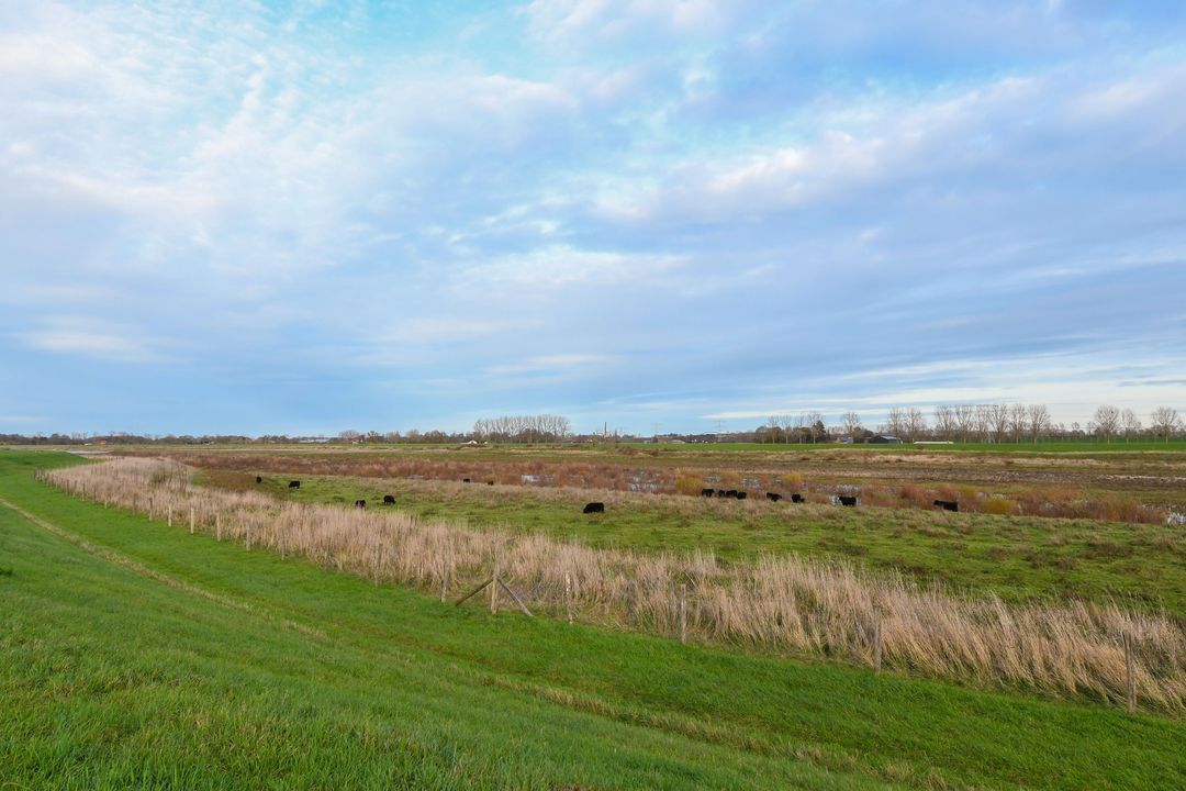 Visserweert 17 image thumbs 1