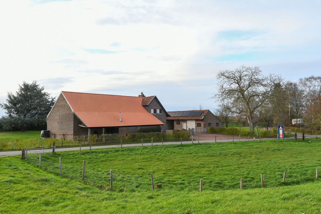 Visserweert 17 image thumbs 1