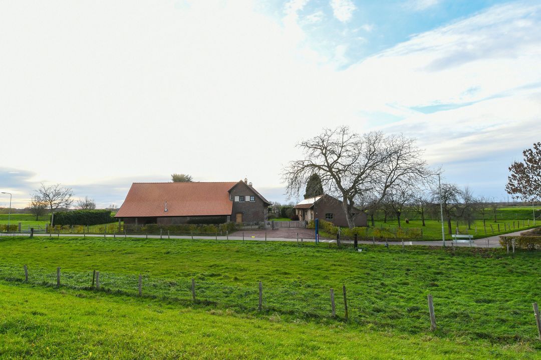 Visserweert 17 image thumbs 1