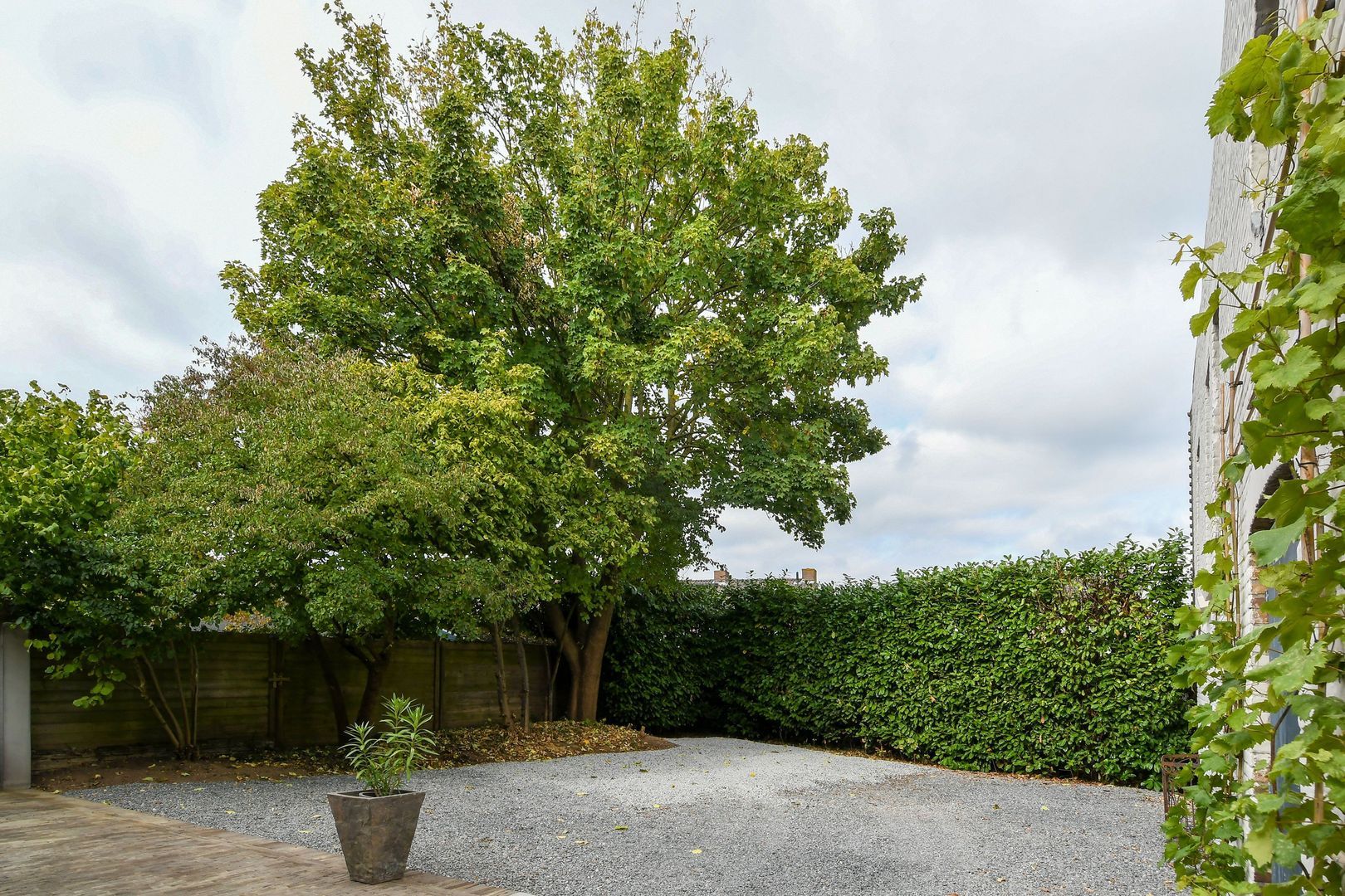 Maasheuvel 24 image 1