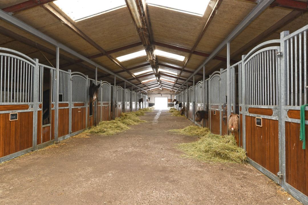 Baldersstraat 1 image thumbs 1