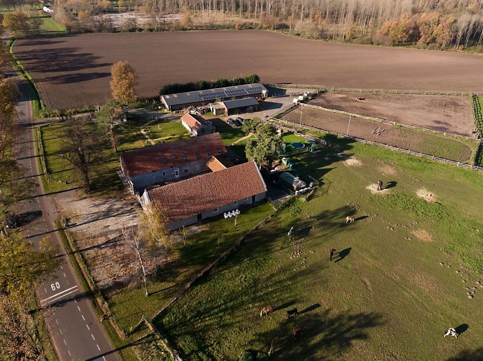 Baldersstraat 1 image thumbs 1