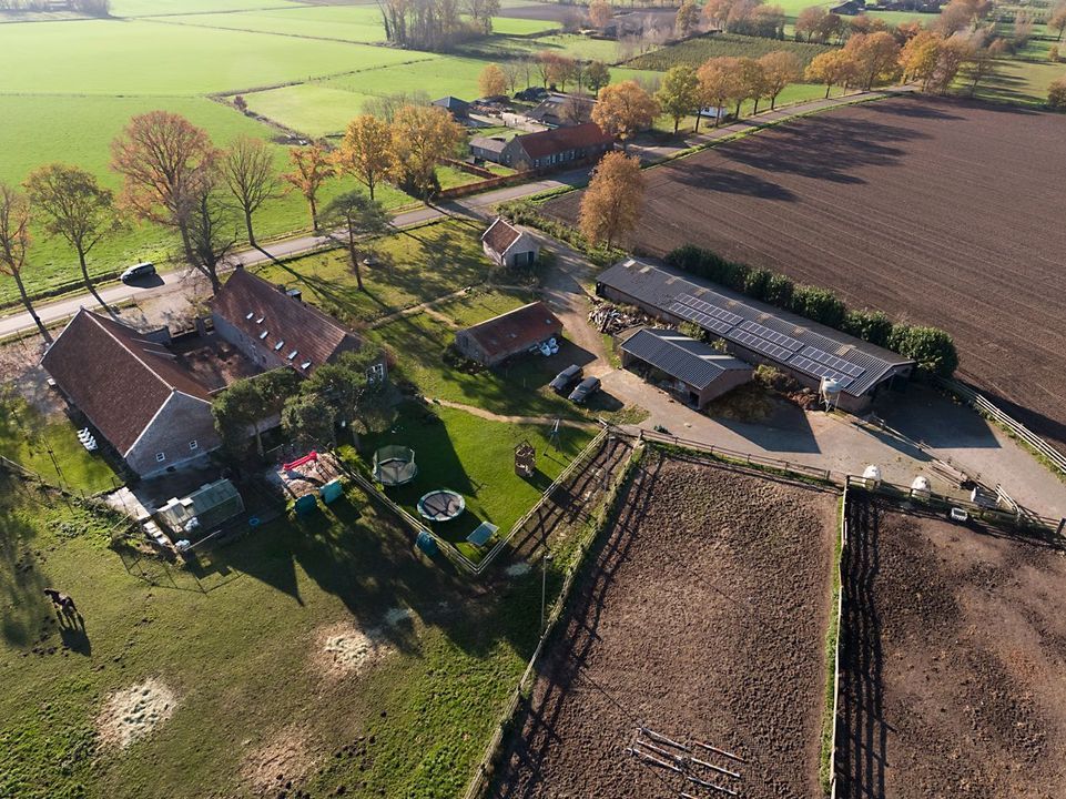 Baldersstraat 1 image thumbs 1