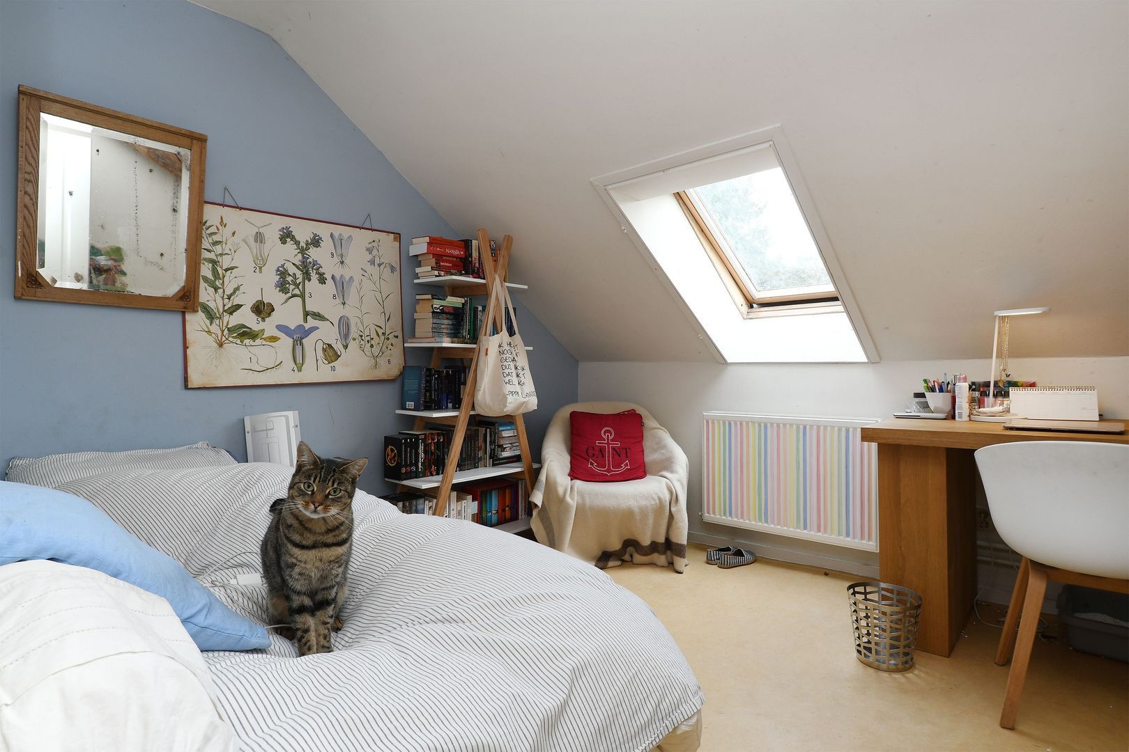 Baldersstraat 1 image 1