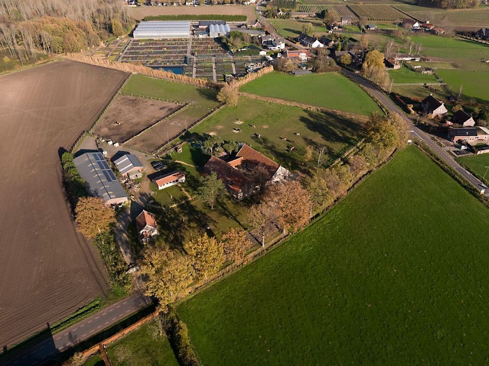 Baldersstraat 1 image thumbs 1