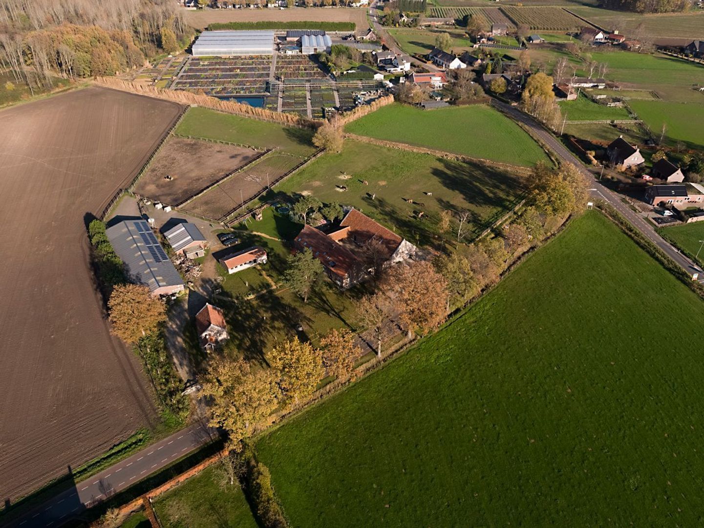 Baldersstraat 1 image 1