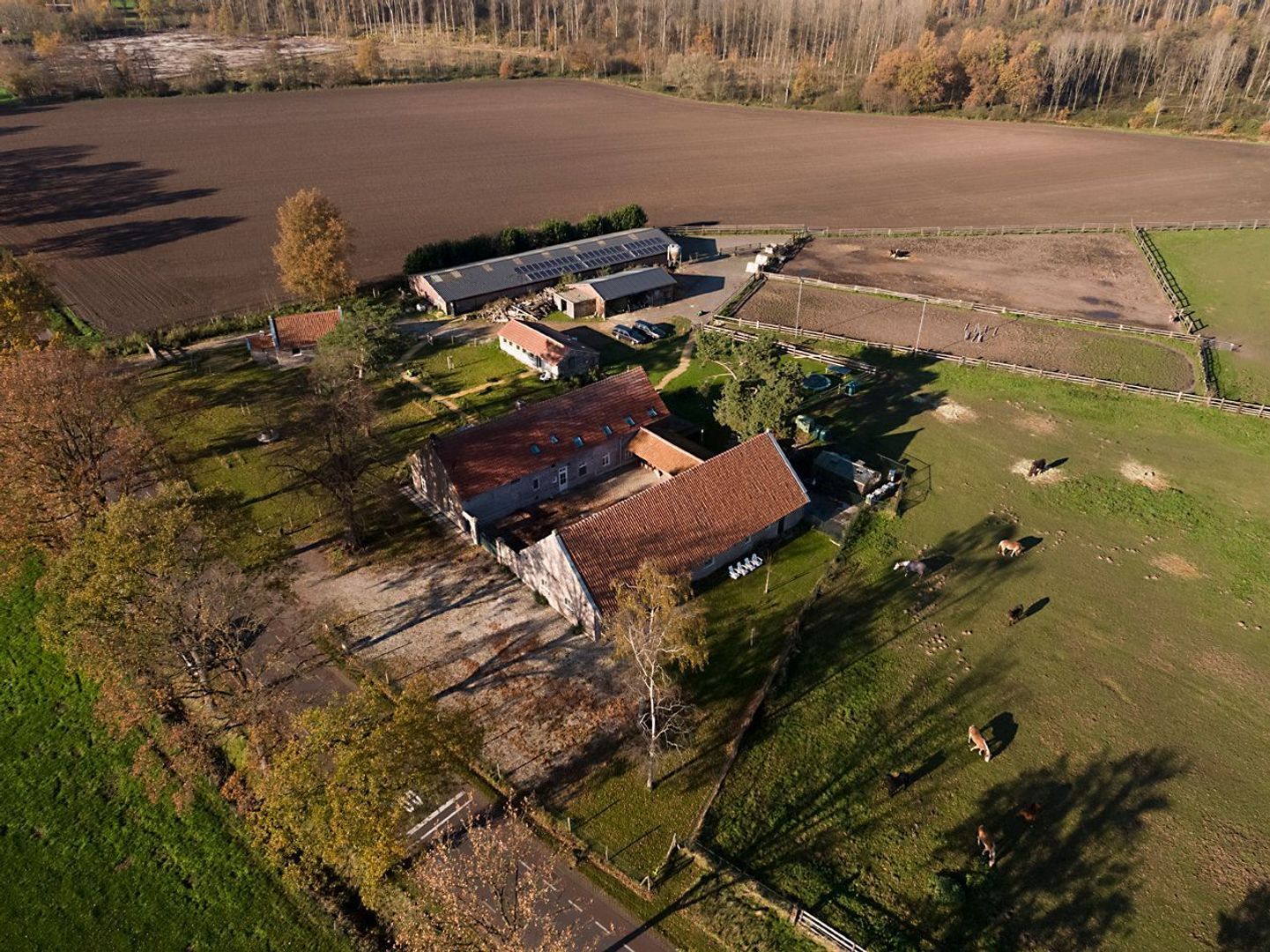 Baldersstraat 1 image 1