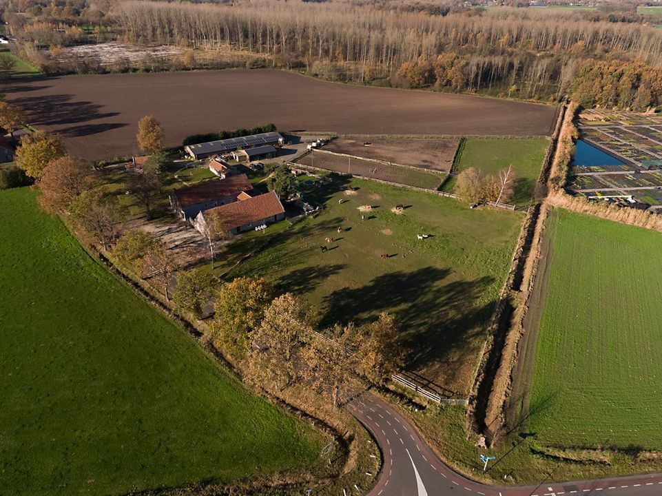 Baldersstraat 1 image thumbs 1