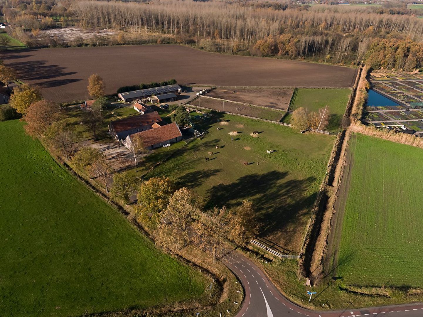 Baldersstraat 1 image 1