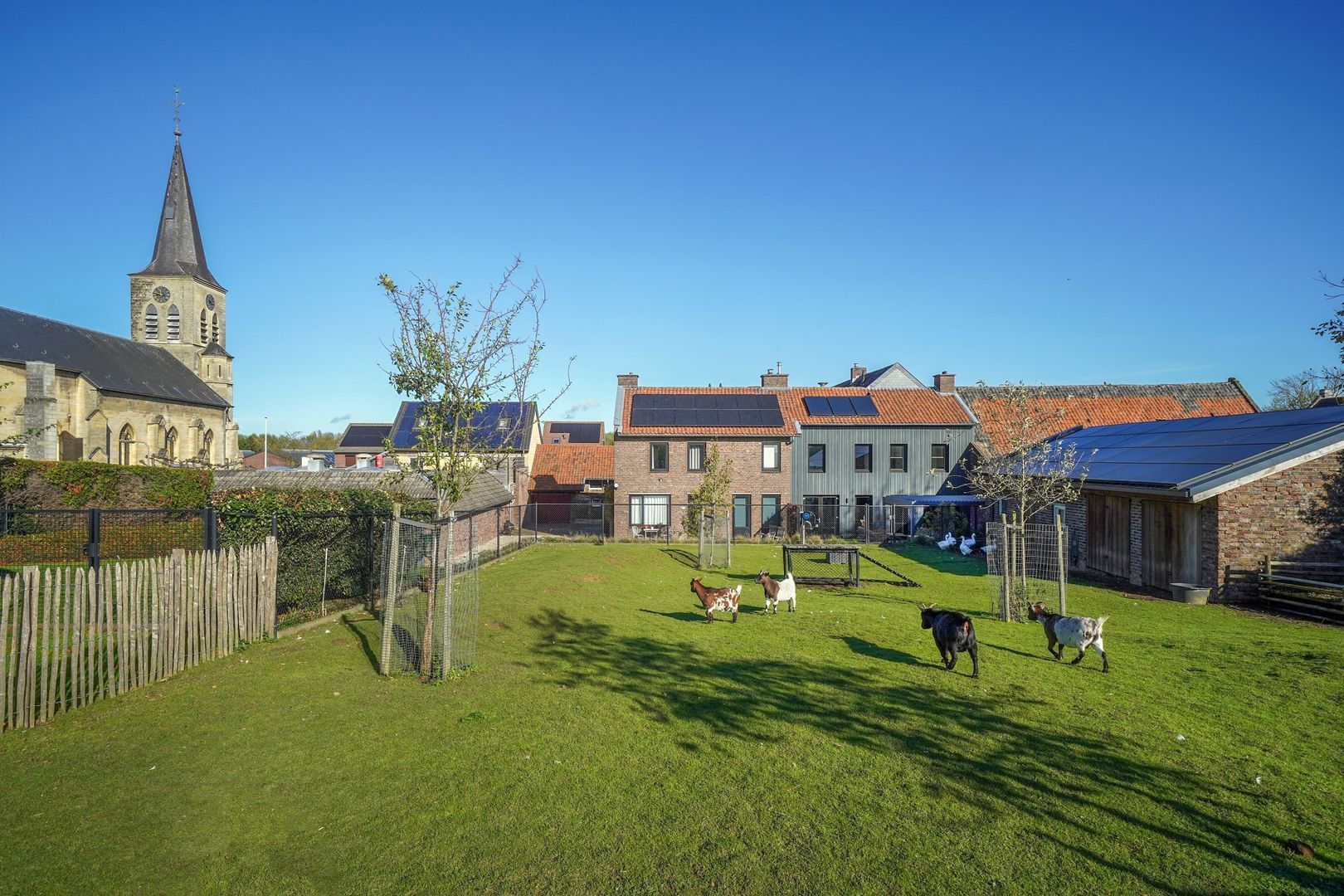 Scheulderdorpsstraat 64 image 1