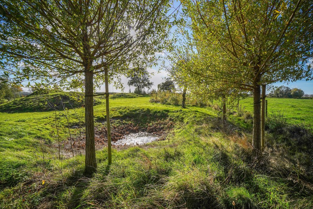 Scheulderdorpsstraat 64 image thumbs 1