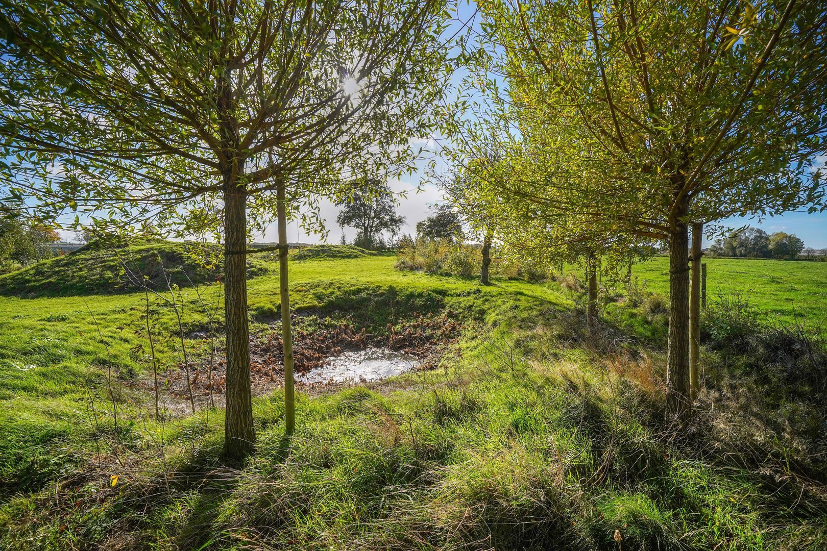 Scheulderdorpsstraat 64 image 1