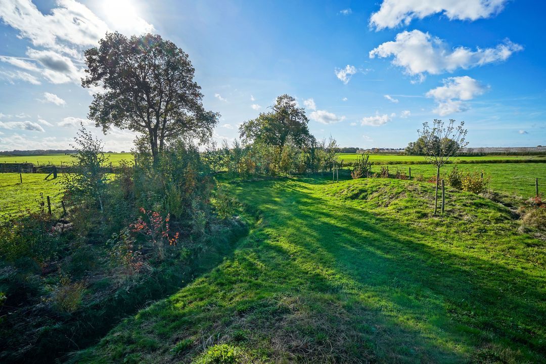 Scheulderdorpsstraat 64 image thumbs 1