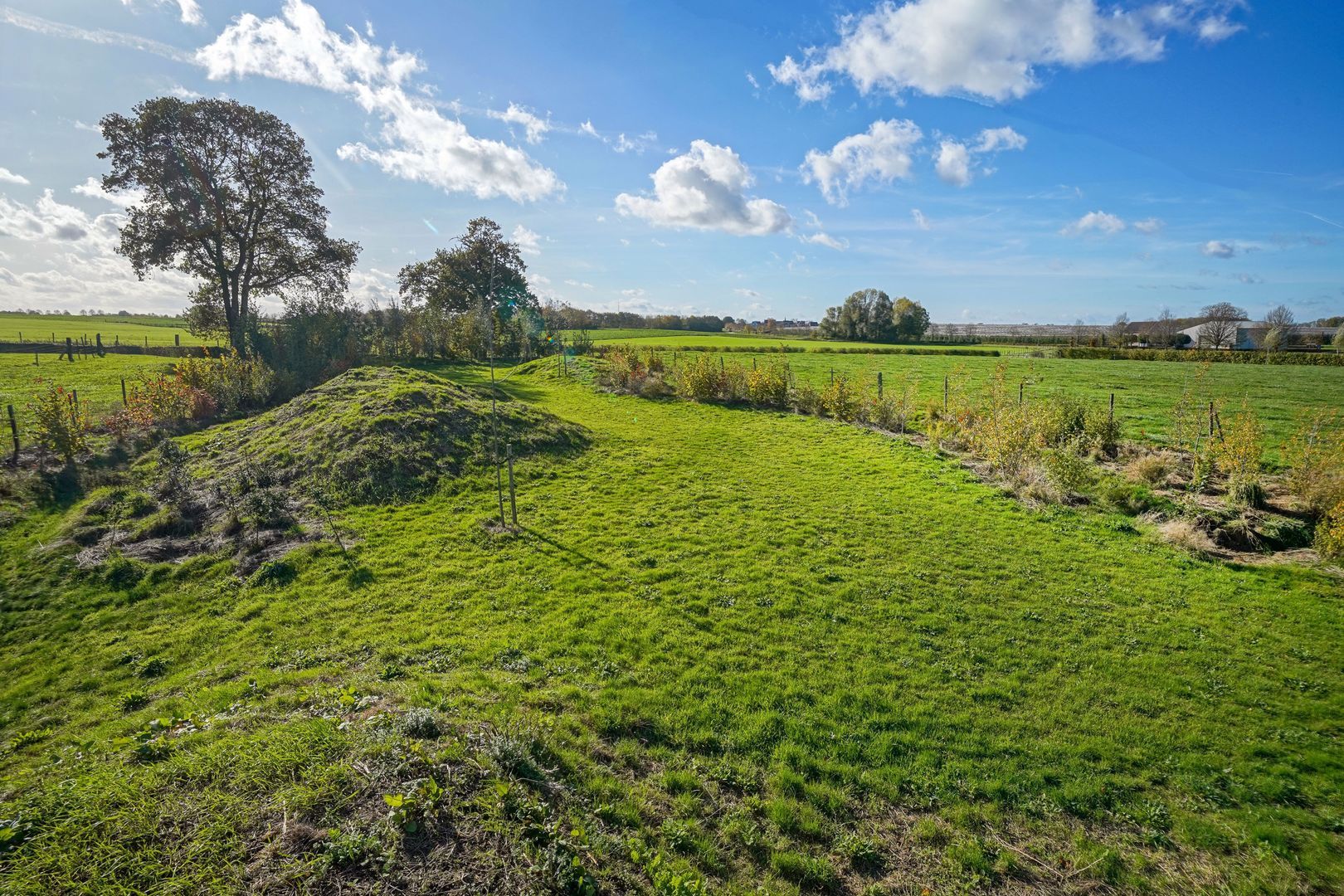 Scheulderdorpsstraat 64 image 1