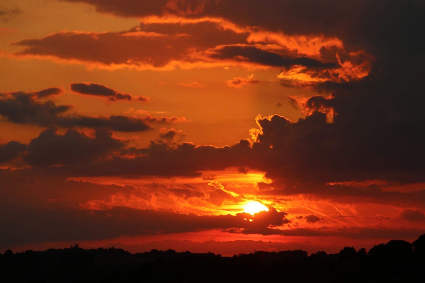 Kersenweide 18 image 1