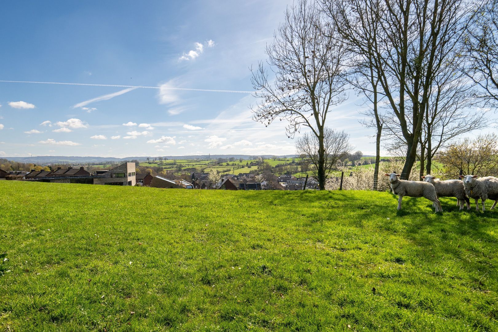 Kersenweide 18 image 1