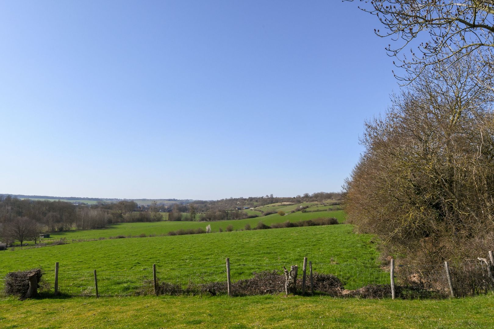 Kersenweide 18 image 1