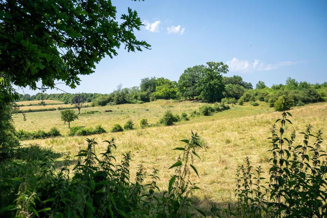Kersenweide 18 image thumbs 1