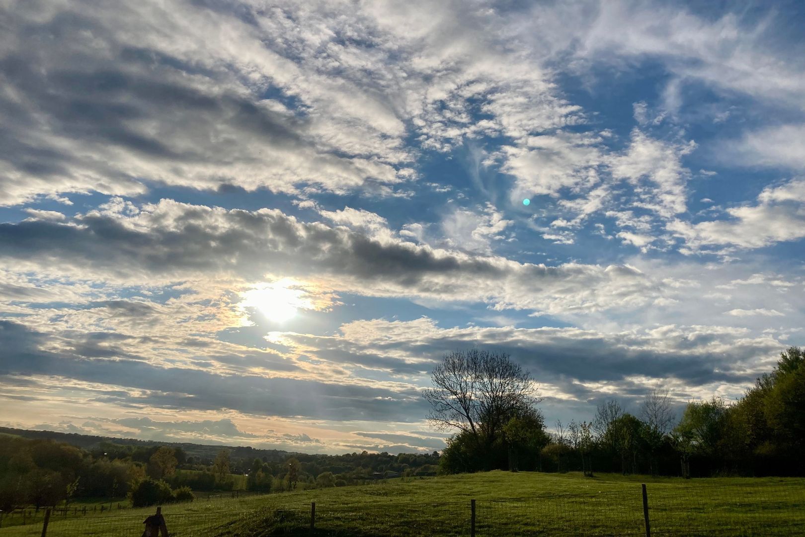 Kersenweide 18 image 1