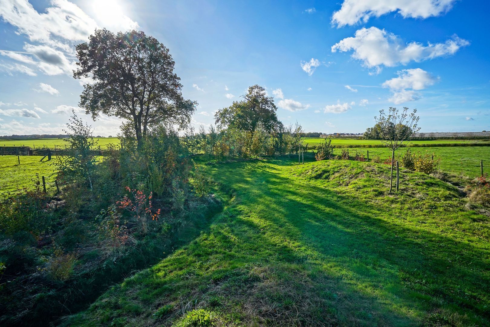 Scheulderdorpsstraat 64 image 1