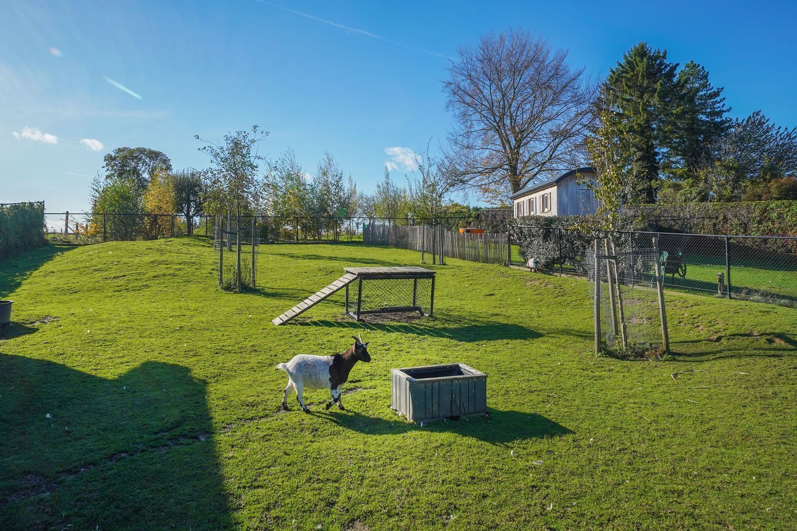 Scheulderdorpsstraat 64 image 1