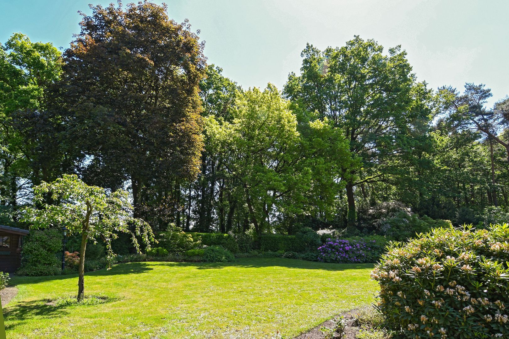 Soeterbeek 3 image 1