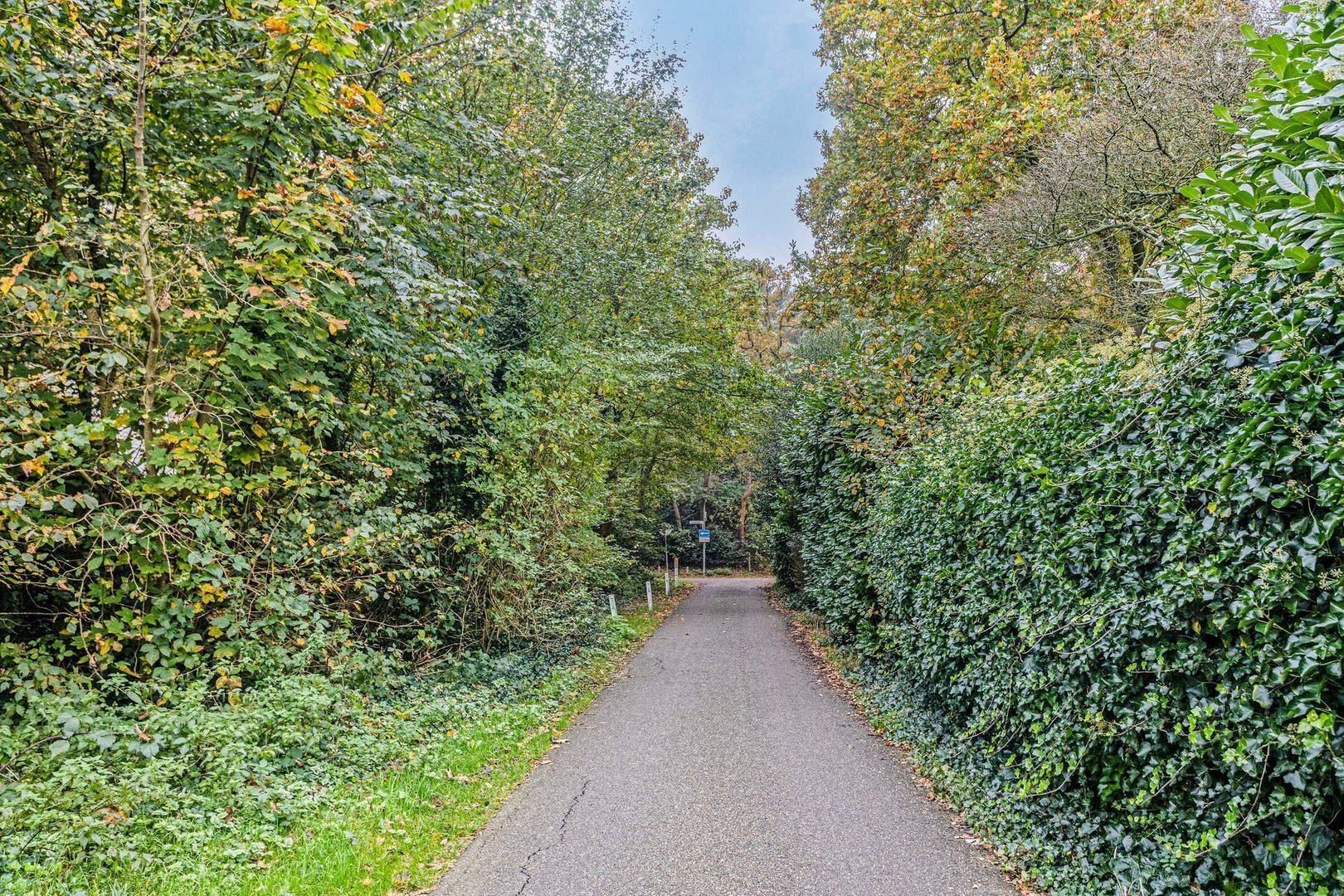 Koningsweg 11, Schoorl foto-31