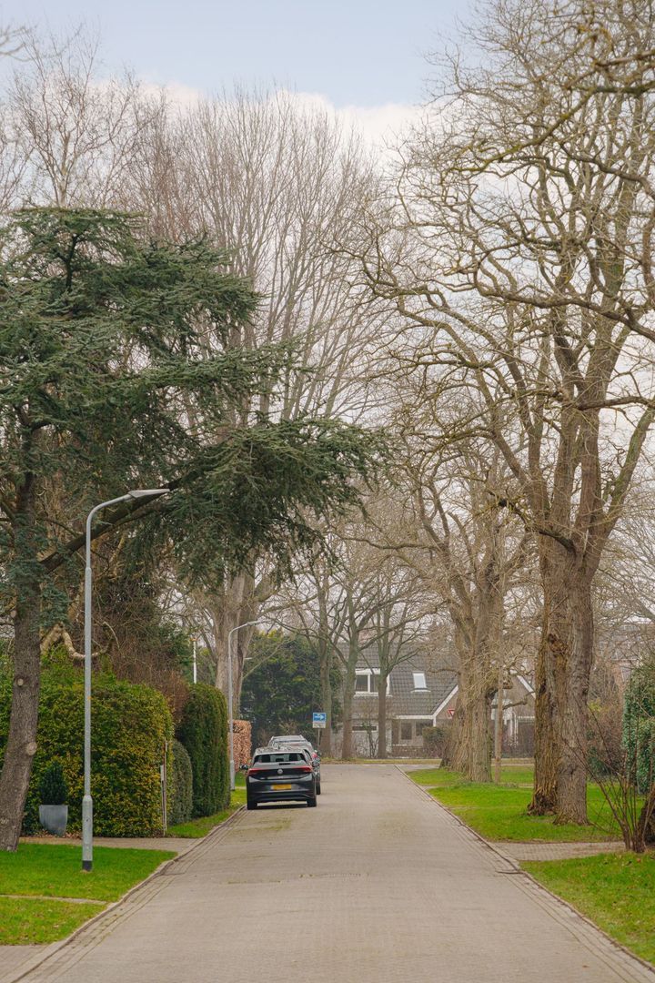 Lage Weidtje 8, Bergen (nh) foto-60