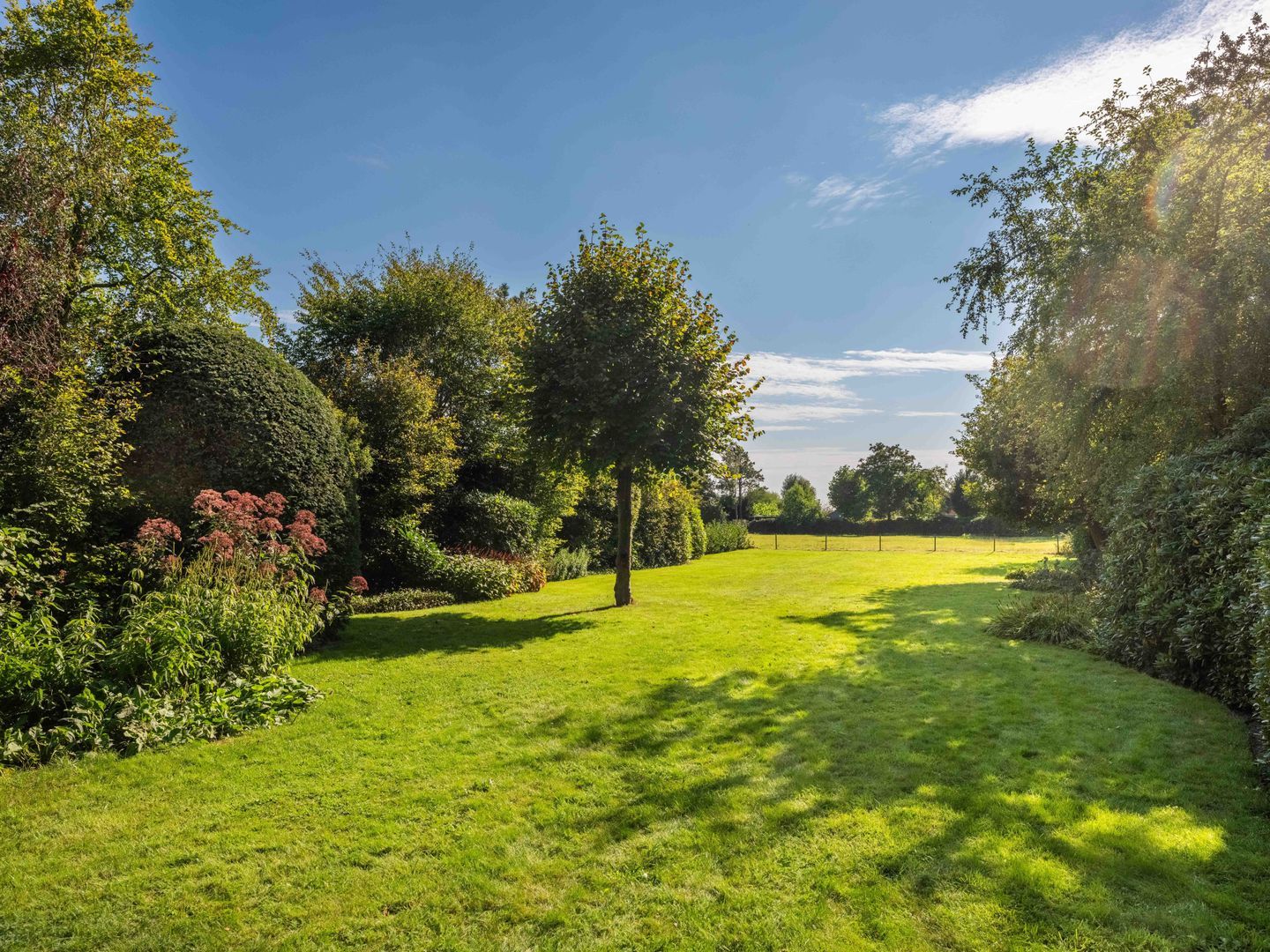 Buerweg 15, Bergen (nh) foto-2