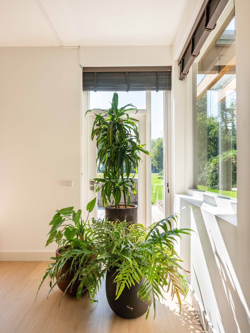 Buerweg 15, Bergen (nh) foto-12