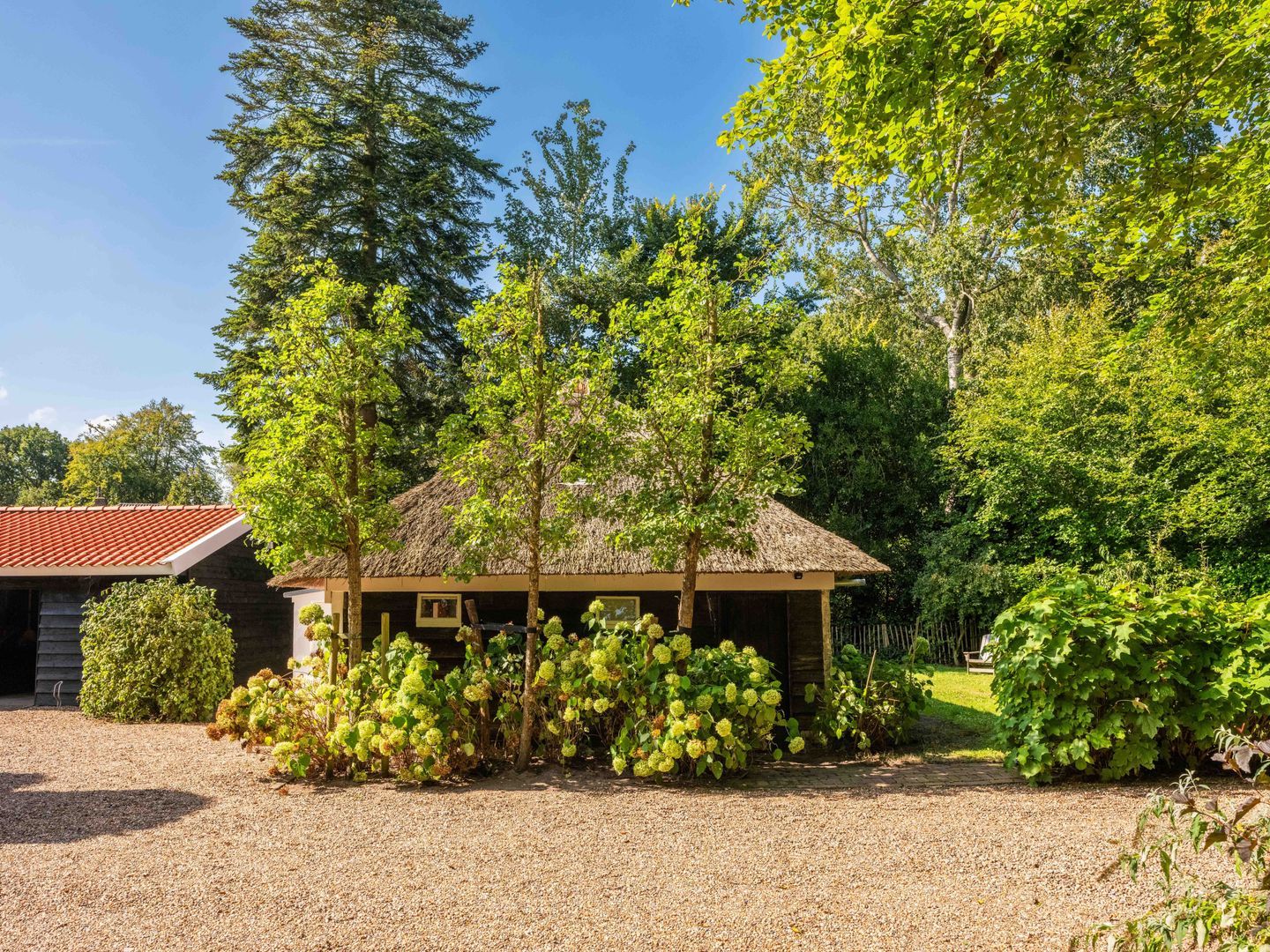 Buerweg 15, Bergen (nh) foto-51