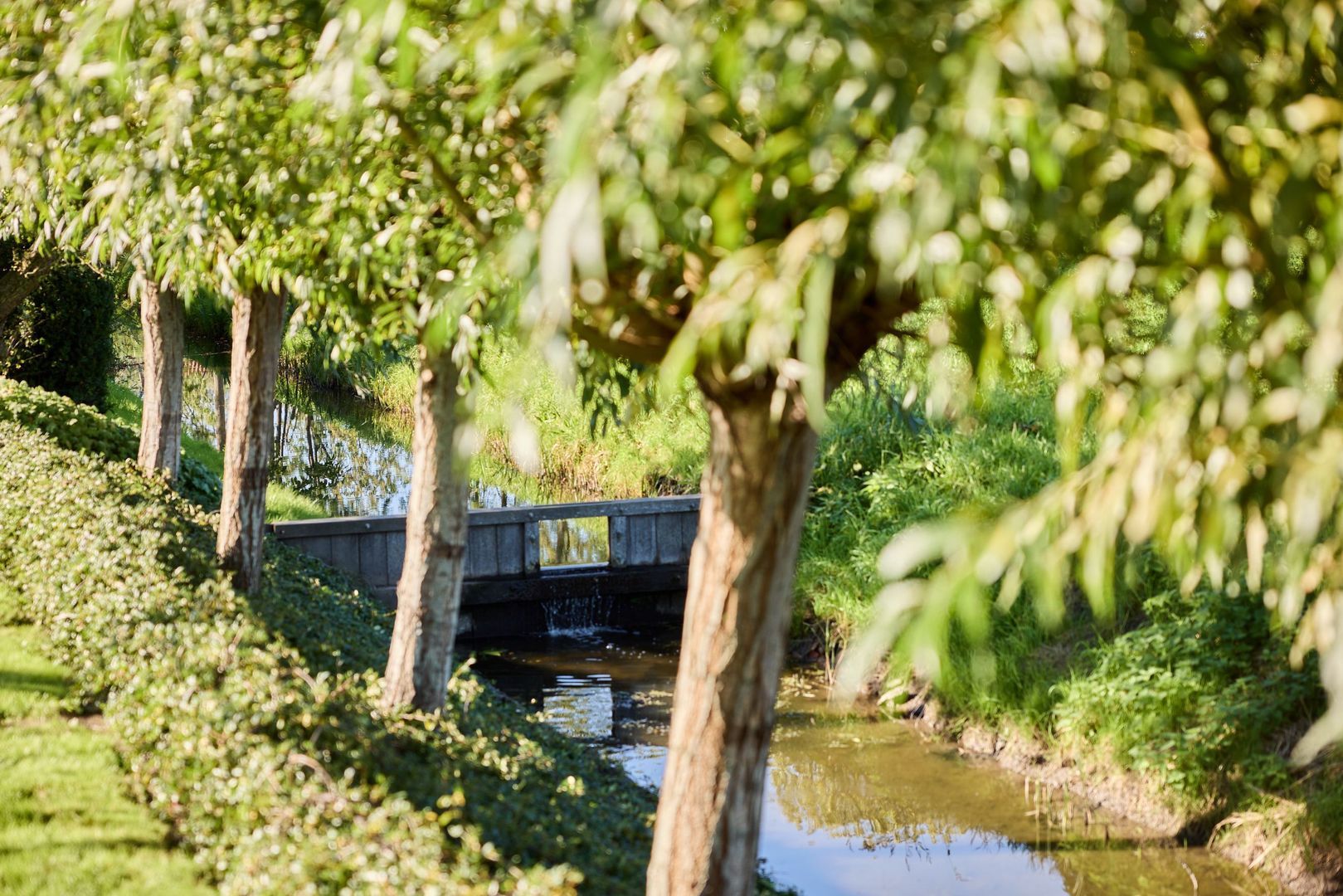 De Eendracht 13, Zuidschermer foto-46