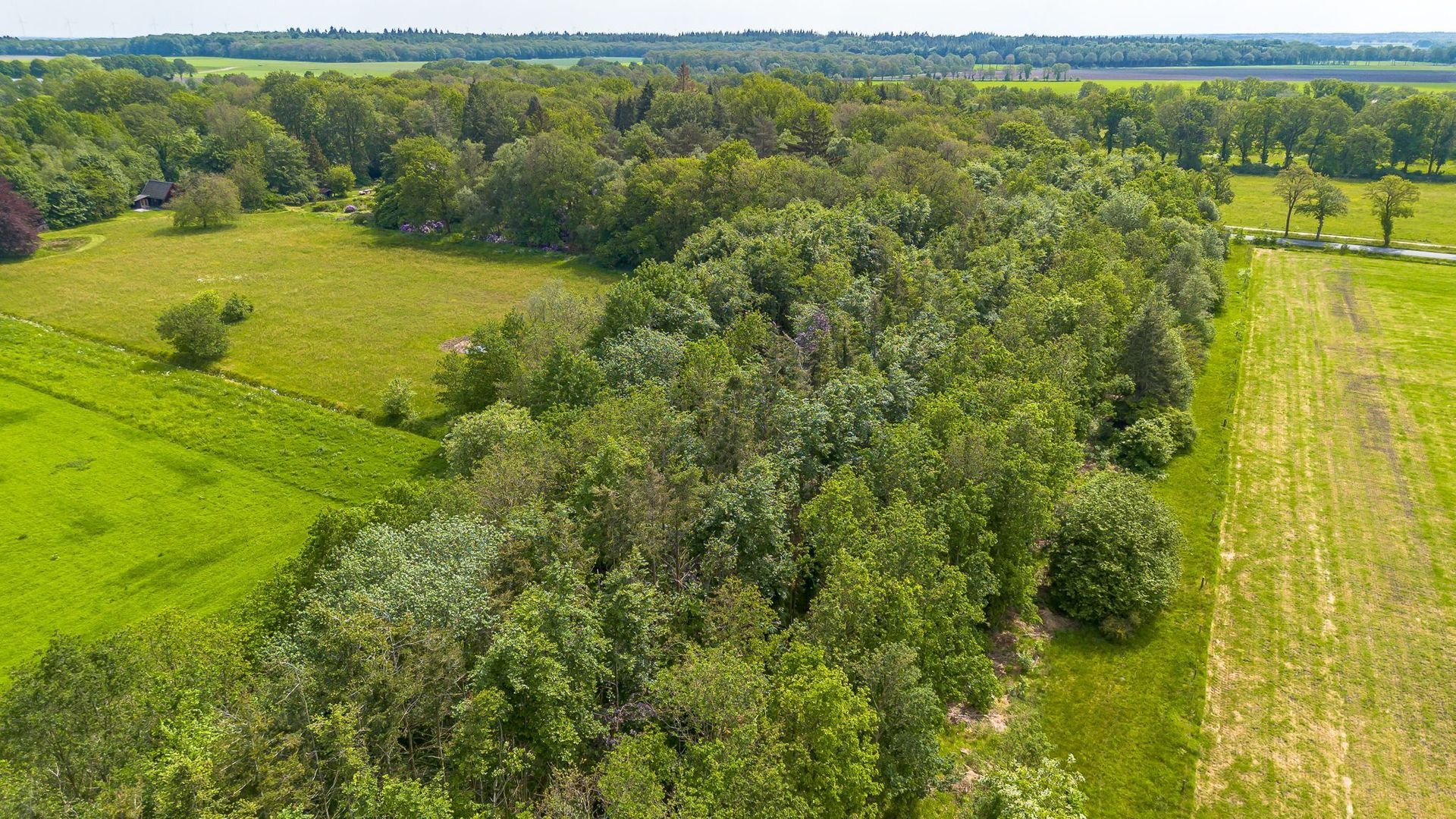 Gasterenseweg 1, Anloo foto-6