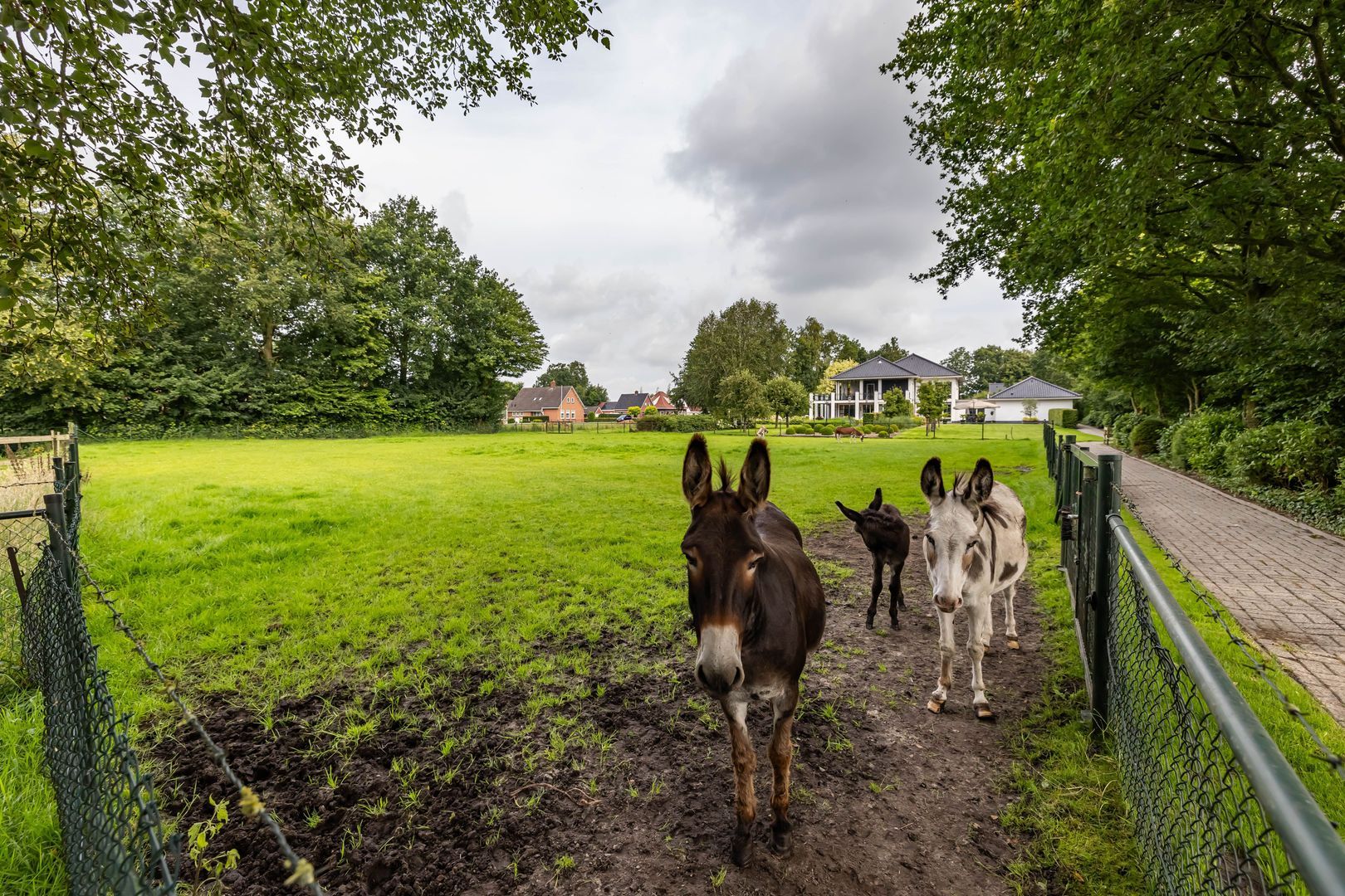 Oudestreek 1, Zevenhuizen foto-48