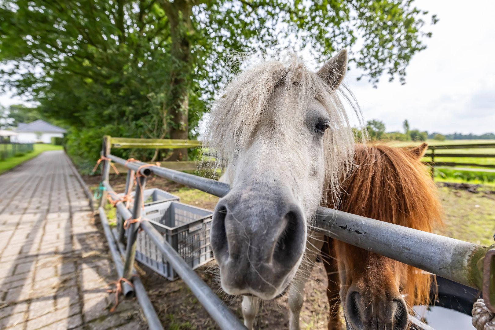 Oudestreek 1, Zevenhuizen foto-47