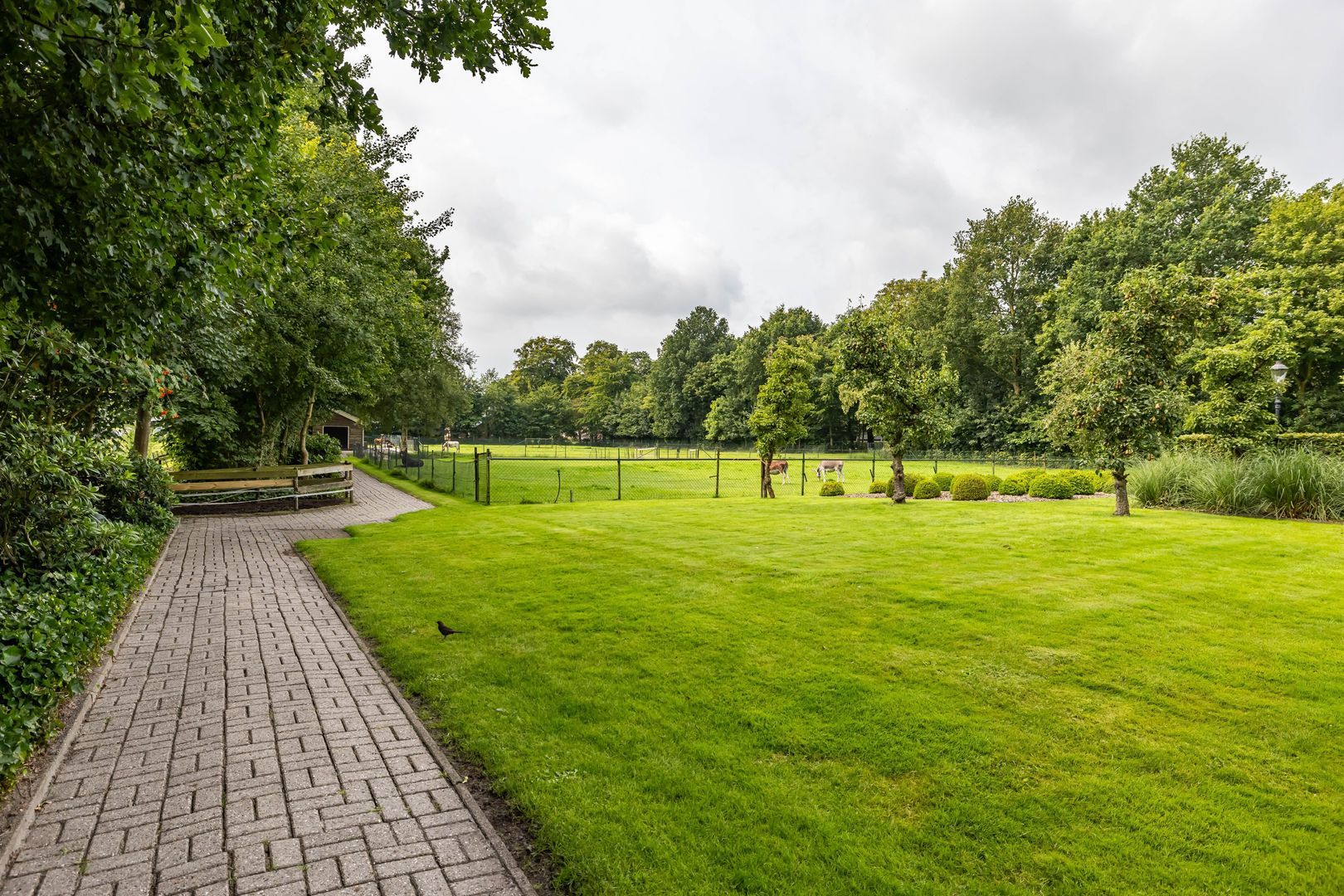 Oudestreek 1, Zevenhuizen foto-45