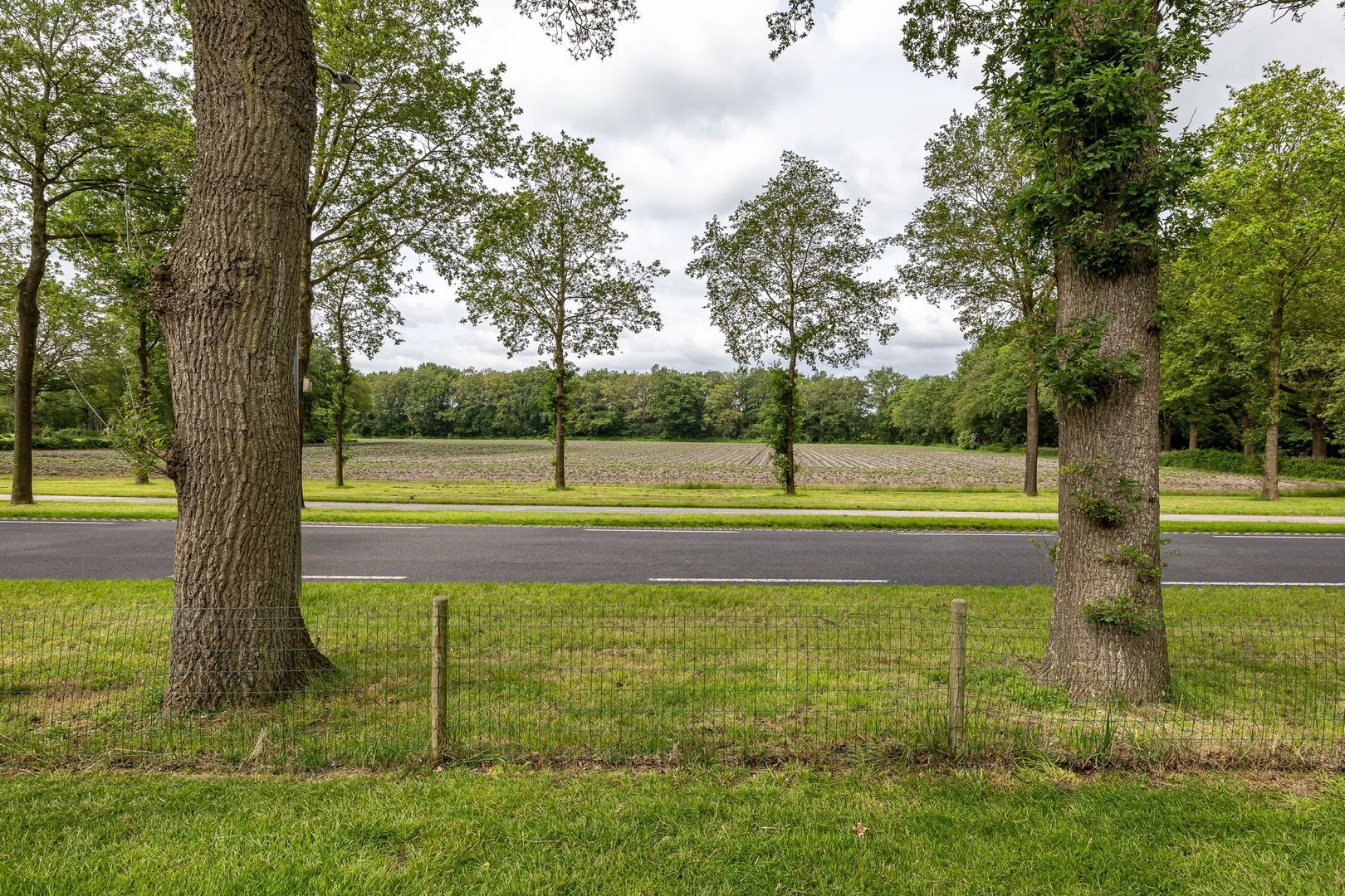 Asserstraat 95, Zuidvelde foto-41