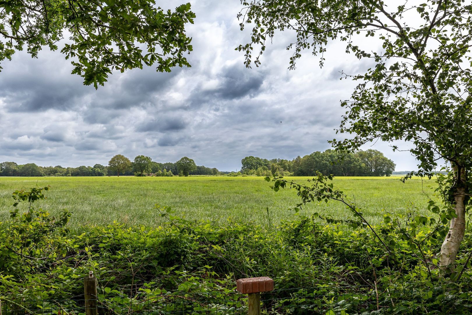Asserstraat 95, Zuidvelde foto-42