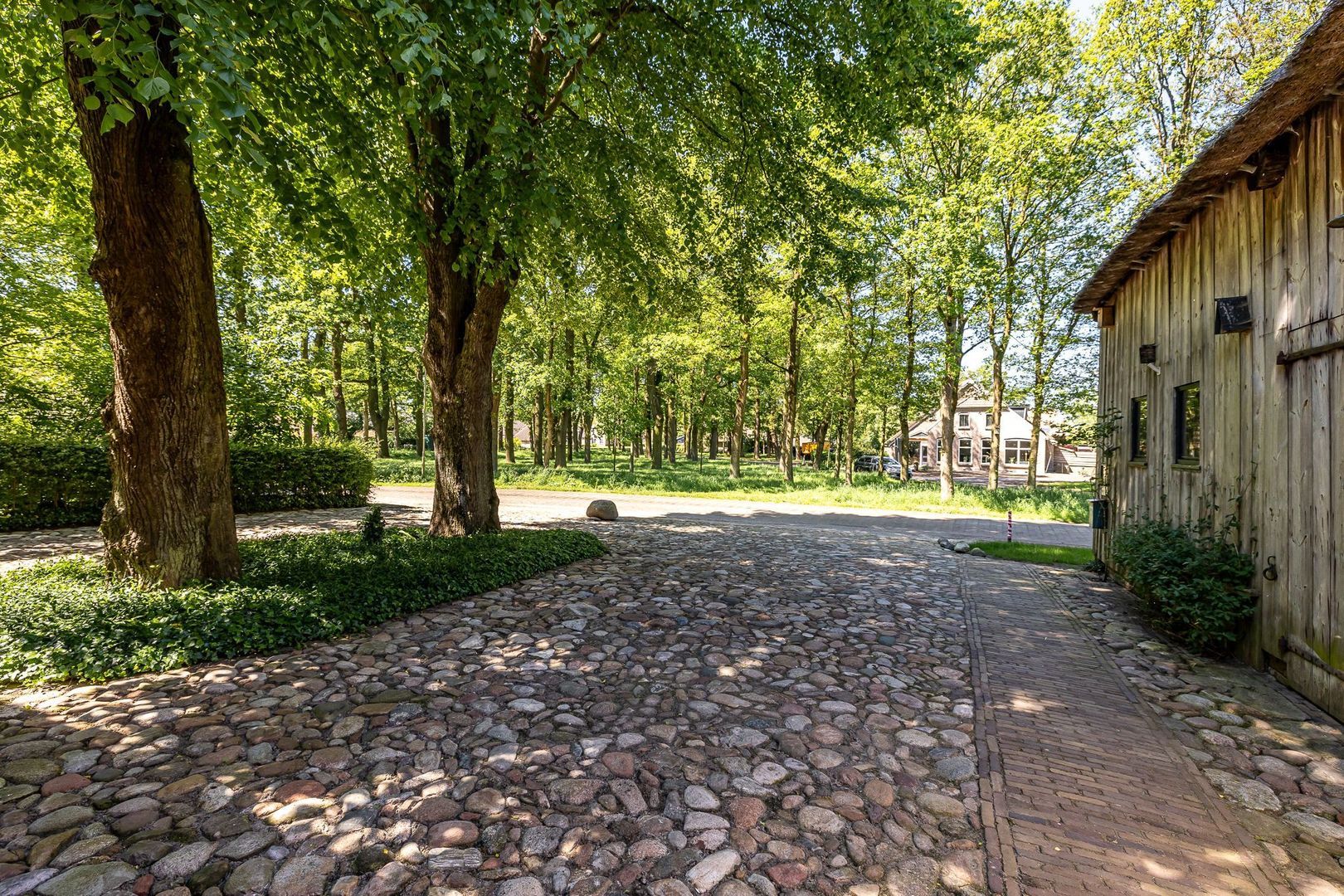 Dorpsweg 6, Taarlo foto-42